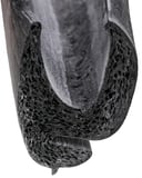 Seal, Bootlid