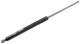 Gas spring, Tailgate fits left and right 1254916 (1000925) - Volvo 200