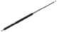 Gas spring, Tailgate fits left and right 3470350 (1001906) - Volvo 400