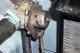 Repair kit, Heater control valve