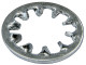 Serrated lock washer 986674 (1023031) - Volvo universal