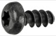 Tapping screw Binding head Inner-torx 5,0 mm 986060 (1029524) - universal 
