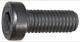 Screw, Guide pulley Timing belt 31216371 (1030203) - Volvo 300, 400, S40, V40 (-2004)