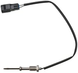 Sensor, Exhaust temperature