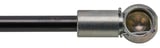 Damper spring, Tailgate fits left and right