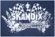 T-Shirt SKANDIX Logo Racing S