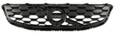 Radiator grill Efficiency with Emblem