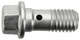 Hollow screw Brake caliper - Brake hose 4345591 (1043257) - Saab 9-3 (-2003), 9-5 (-2010), 900 (1994-)