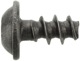 Tapping screw with Collar Inner-torx 6,0 mm 55560599 (1052916) - Saab universal ohne Classic