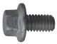Screw/Bolt Flange screw