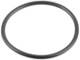 Gasket Belt gear, Timing belt 8653760 (1061962) - Volvo C30, C70 (2006-), S40, V50 (2004-), S80 (2007-), V70 (2008-)