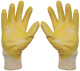 Gloves  (1063141) - universal 