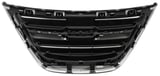 Radiator grill with Emblem centre
