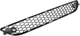 Radiator grill lower