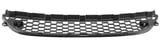 Radiator grill lower