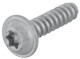 Tapping screw Inner-torx 6,0 mm