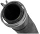 Radiator hose lower Radiator - Water pipe