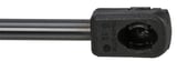 Damper spring, Trunk floor