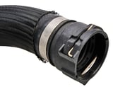 Radiator hose lower