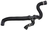 Radiator hose lower