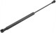Gas spring, Convertible top fits left and right 8618519 (1082898) - Volvo C70 (-2005)