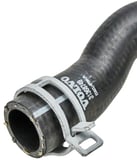 Radiator hose Expansion tank - Engine