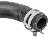 Radiator hose Expansion tank - Engine