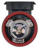 Bulb H11 Foglight 12 V 55 W Halogen NIGHT BREAKER® 200