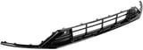 Radiator grill lower
