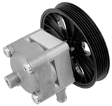 Hydraulic pump, Steering system