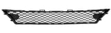 Radiator grill centre lower