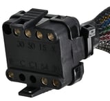 Harness, Ignition system