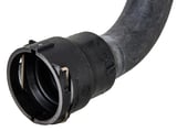 Radiator hose lower