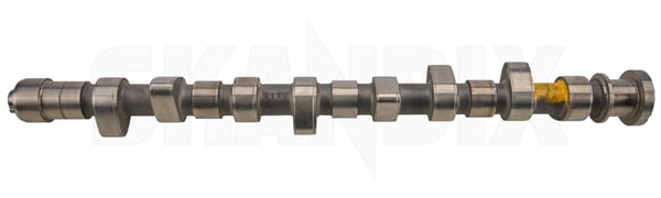 Camshaft 8250111 (1000309) - Volvo 200 - ОЕ-Numbers: 1219032, 1336771 - Keywords: camshaft Own-label new nos nos old stock