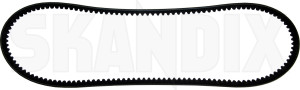 V-belt, universal 1100 mm 10 mm  (1000660) - universal  - v belt universal 1100 mm 10 mm vbelt universal 1100 mm 10 mm Own-label 10 10mm 1100 1100mm additional info info  mm note please