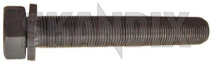 Central bolt 9186595 (1005983) - Volvo 850, S70, V70 (-2000), S80 (-2006), V70 P26 (2001-2007) - belt pulley bolts central bolt crankshaft center screws dampener vibration dampers screws Own-label bolt crank do front more not once part shaft stretch than use