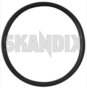 SKANDIX Shop Volvo Ersatzteile: Clip Türdichtung an Karosserie