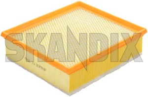 SKANDIX Shop Volvo parts: Air filter 30757155 (1011008)