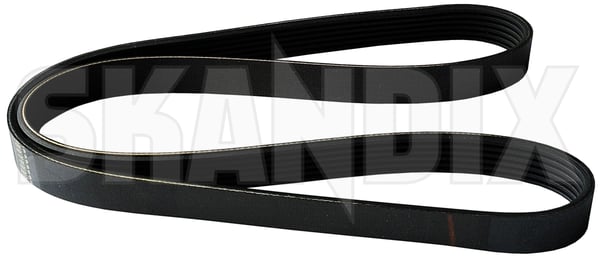 V-ribbed belt PK 1217 mm 6 Ribs 30777660 (1012057) - Volvo C30, C70 (2006-), S40, V50 (2004-) - ОЕ-Numbers: 8670068 - Keywords: belts v ribbed belt pk 1217 mm 6 ribs vbelts v belts vribbed belt pk 1217 mm 6 ribs Own-label 1217 1217mm 6 6ribs mm pk ribs