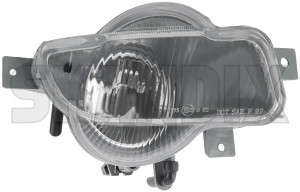 SKANDIX Shop Volvo Ersatzteile: Nebelscheinwerfer rechts 8620229 (1014031)
