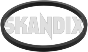 SKANDIX Shop Volvo Ersatzteile: Dichtung, Ölkühler 3547188 (1014172)