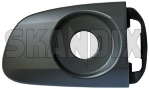 SKANDIX Shop Volvo Ersatzteile: Abdeckung, Türgriff mit Schließzylinder  30753903 (1018152)