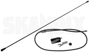 SKANDIX Shop Volvo Ersatzteile: Antenne Stab Radio 9447929 (1020986)