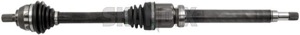 Drive shaft front right 36001652 (1023729) - Volvo C30, S40, V50 (2004-) - drive shaft front right Own-label bearing front new part right with