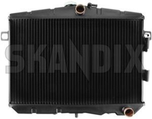 Radiator, Engine cooling Manual transmission Automatic transmission 252188 (1025324) - Volvo 120, 130, 220, 140, P1800, P1800ES - 1800e p1800e radiator engine cooling manual transmission automatic transmission skandix SKANDIX 495x450x60 495x450x60mm automatic brass closed closed  expansion manual mm new part rowed tank three transmission with
