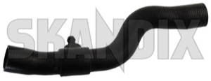 Radiator hose upper 12787608 (1025625) - Saab 9-3 (2003-) - radiator hose upper Own-label upper