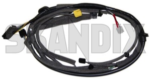 SKANDIX Shop Volvo Ersatzteile: Kabelsatz, Koffer-/Heckklappe 9144189  (1025957)