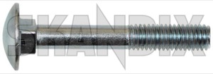 Screw/ Bolt Carriage bolt M8 948439 (1029018) - Volvo universal - screw bolt carriage bolt m8 screwbolt carriage bolt m8 Genuine 55 55mm bolt carriage m8 metric mm thread with