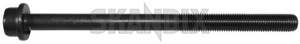 Cylinder head bolt M10x1,25 30723252 (1029180) - Volvo C30, S40, V50 (2004-), S80 (2007-), V70 (2008-) - cylinder head bolt m10x1 25 cylinder head bolt m10x125 cylinderheadbolt Own-label 145 145mm bolt do m10x125 m10x1 25 mm more not once part stretch than use