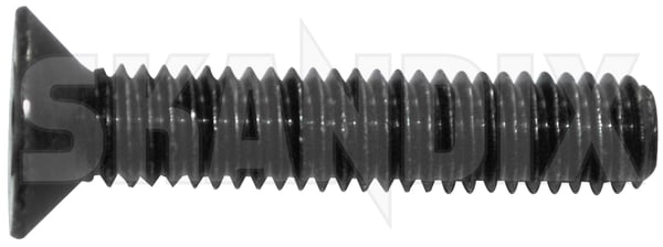 Schraube Senkkopf Innen-Torx M6 32137550 (1029191) - Volvo universal - ОЕ-Nummern: 969739, 986294 - Keywords: schraube senkkopf innen torx m6 schraube senkkopf innentorx m6 schrauben torxschrauben Original 30 30mm innentorx innen torx m6 mm senkkopf torque torx